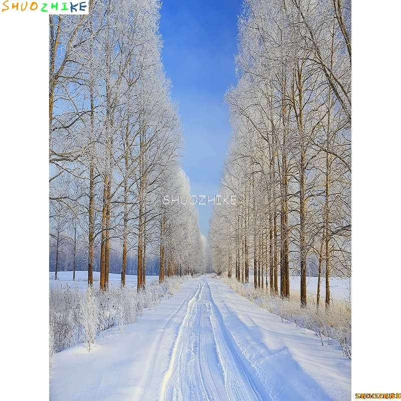 قطرات خلفية للتصوير الفوتوغرافي للغابات الشتوية ، طريق مغطى بالثلوج ، ندف الثلج ، أشجار التنوب ، خلفية الصورة ،