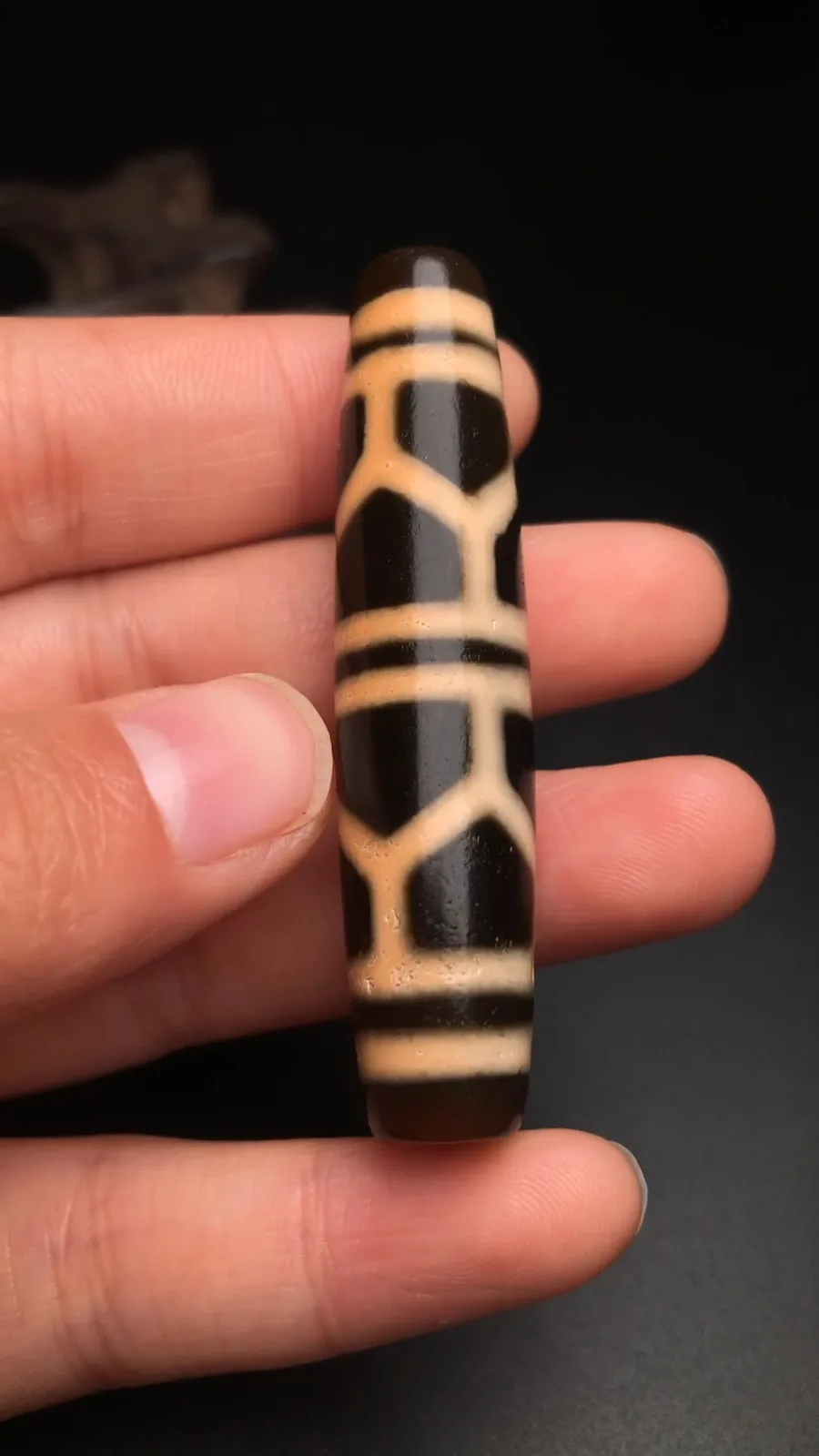 Rare Tibetan Old Oily Agate Dzi *Turtle she* Beads Amulet 58mm K0430