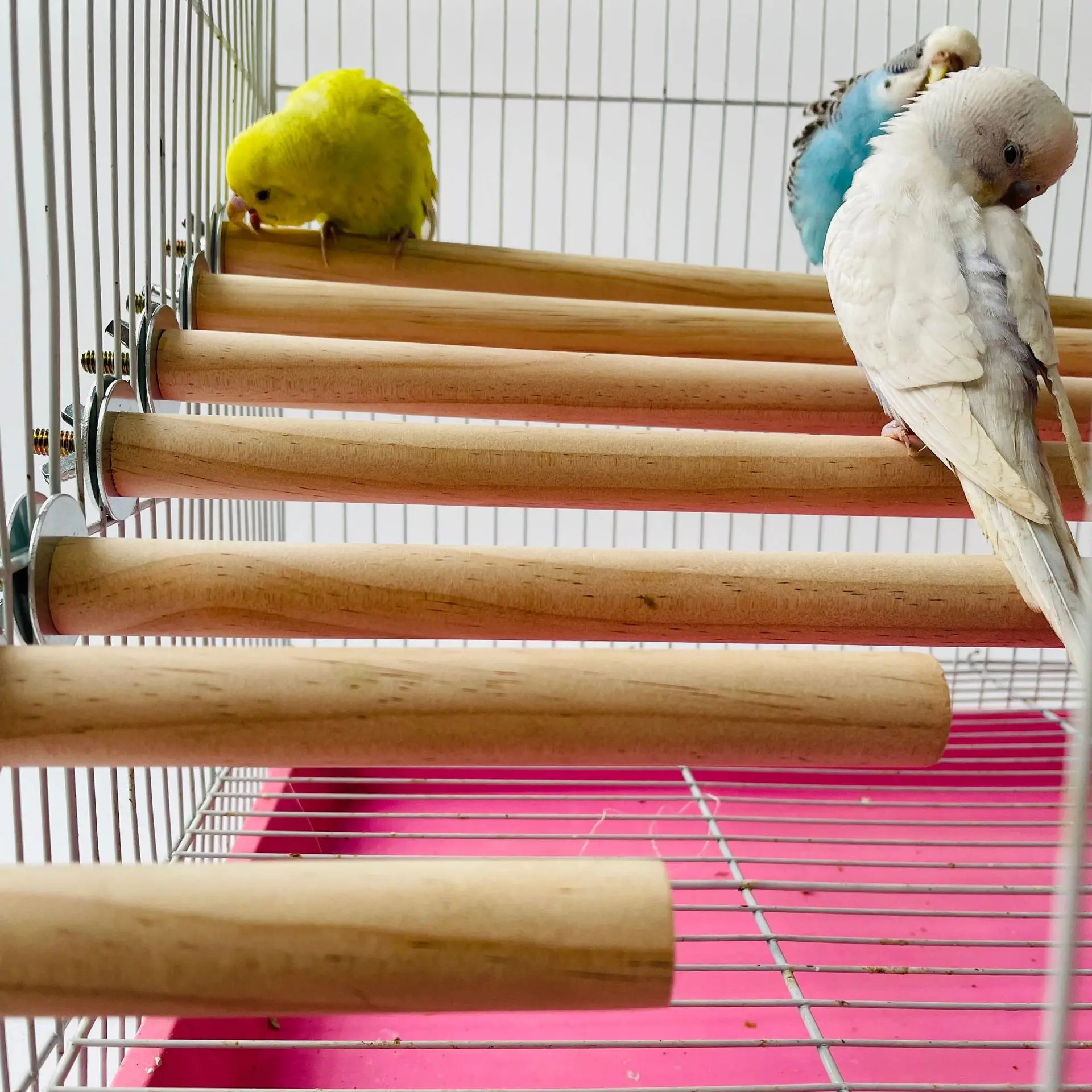 Wooden Parrot Perch Stand 2