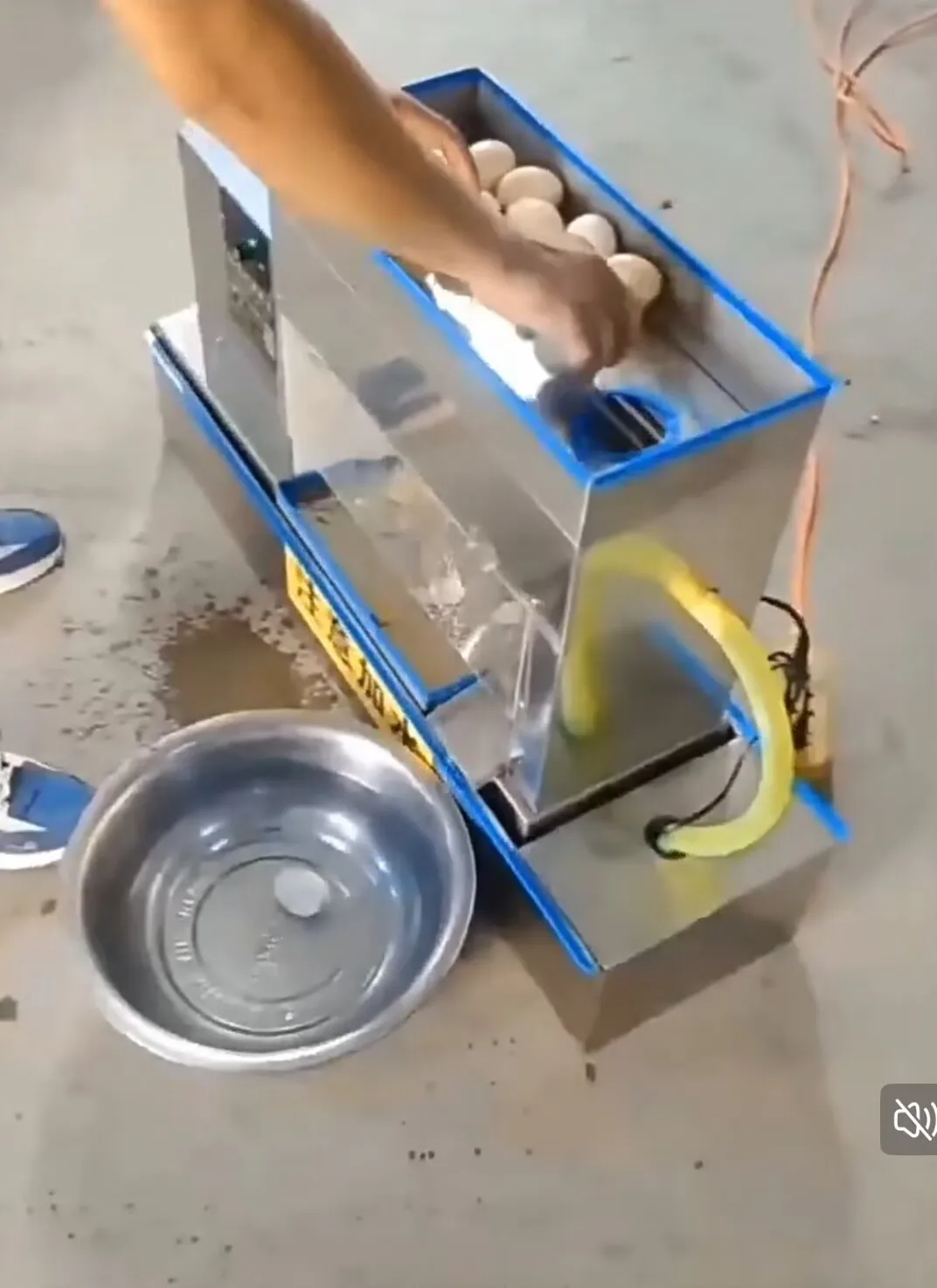 

220v Stainless Steel Boiled Egg Peeling Machine Commercial Electric Egg Peeler Egg Sheller Maker