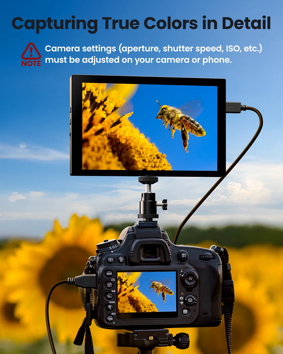 Profissional 7 Inch Camera Field Monitor Dual Battery Studio Monitor IPS DSLR Video Focus Assis LUT Director Monitors 1280x800