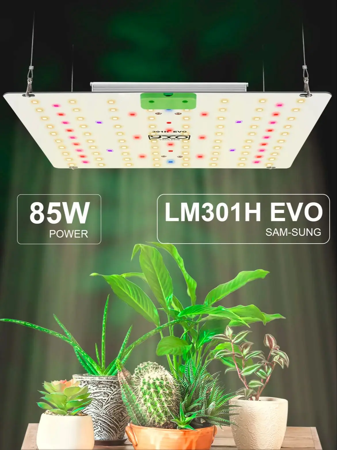 Lampe de croissance LED LM301H EVO avec lampe de croissance infrarouge 85W 180W pour Horticulture hydroponique lampe de croissance des plantes d'intérieur