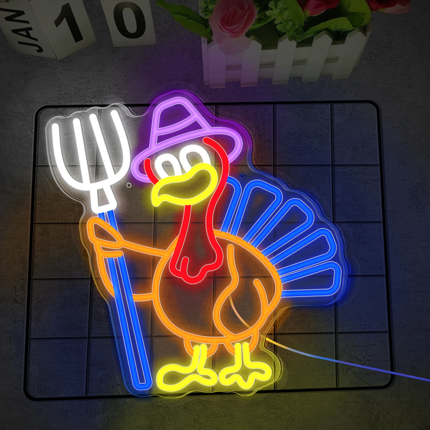 The Turkey-Shaped U… - image