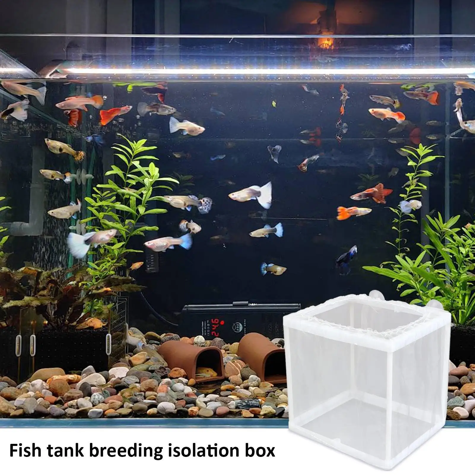 Fish Breeder Box Aquarium Hatcher Incubator Mesh Box Juvenile Fish Separation Net with Suction Cups Fish Tank Incubator Box
