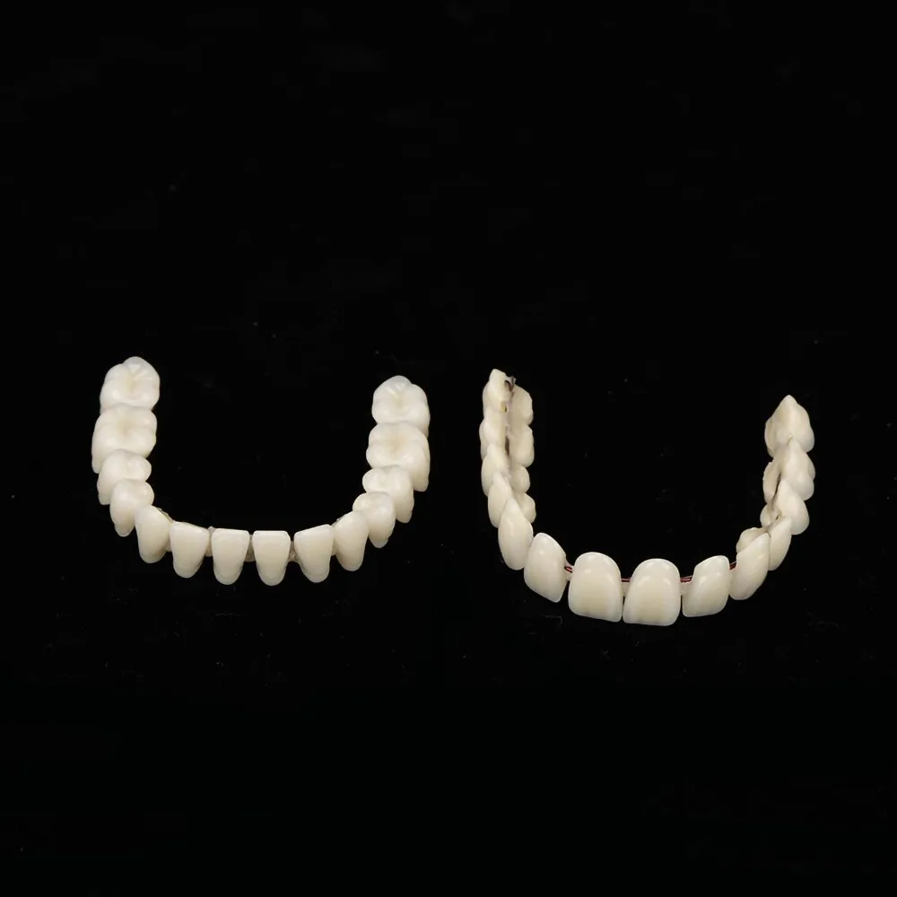 1Pair Resin Dental Teeth Teaching Model Removable Dental Supply Resin Denture Teeth Set Teaching DIY False Teeth Dental Lab Use
