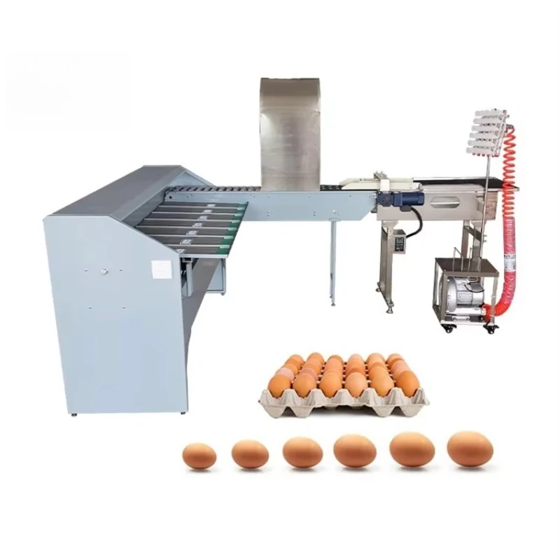 Customizable 5400-10000pcs/h Egg Grading System 304SS 5-7 Grades Automatic Chicken Egg Sorter with Light Inspection