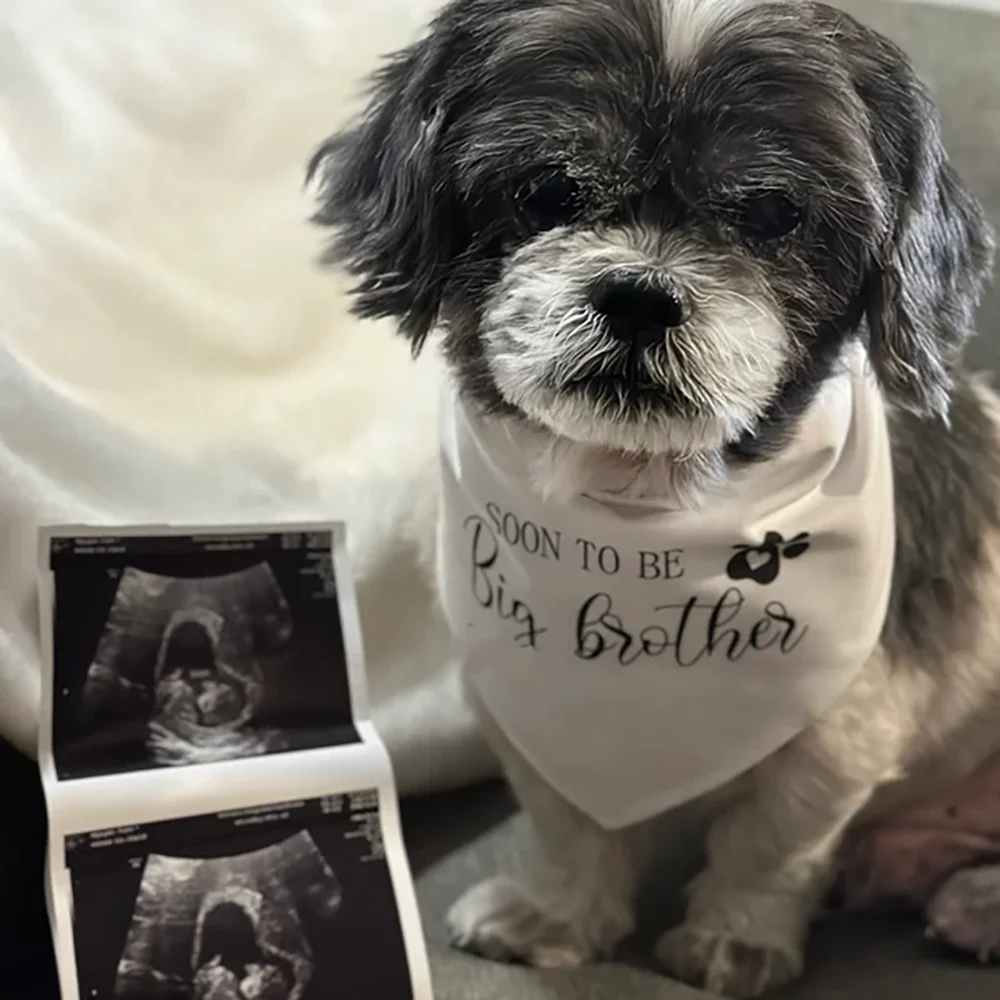 Soon To Be Big Brother Pregnancy Announcement Dog Bandana New Baby Birth Reveal Mom's Pregnant Baby Shower Pet Gift Party Decor view 2