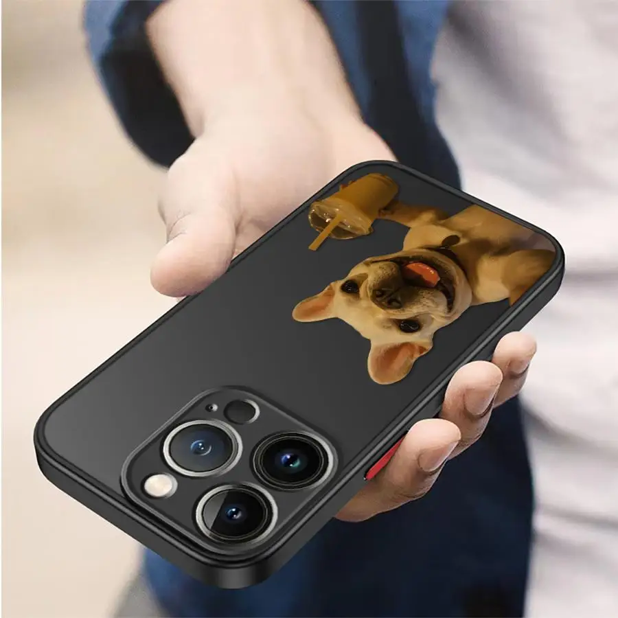 Funda de teléfono para Apple iPhone XS Max 15 16 14 Plus 17 Air 12 13 11 17 Pro Max 16e 13 Mini 7 8 funda suave perro pez globo