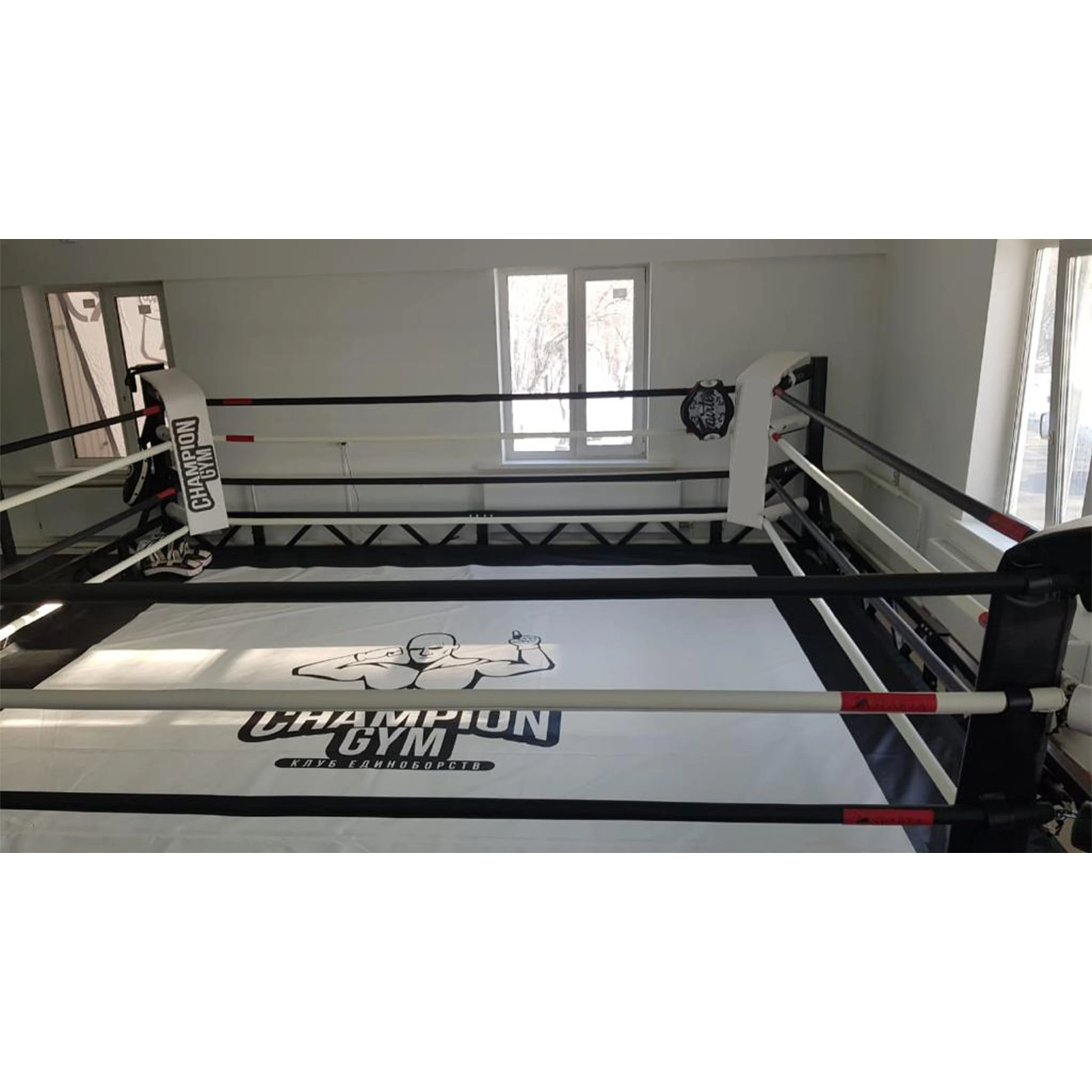 Picture 4: Personalized Professional 6m X 6m Floor-Standing Boxing Ring Equipment for Competition