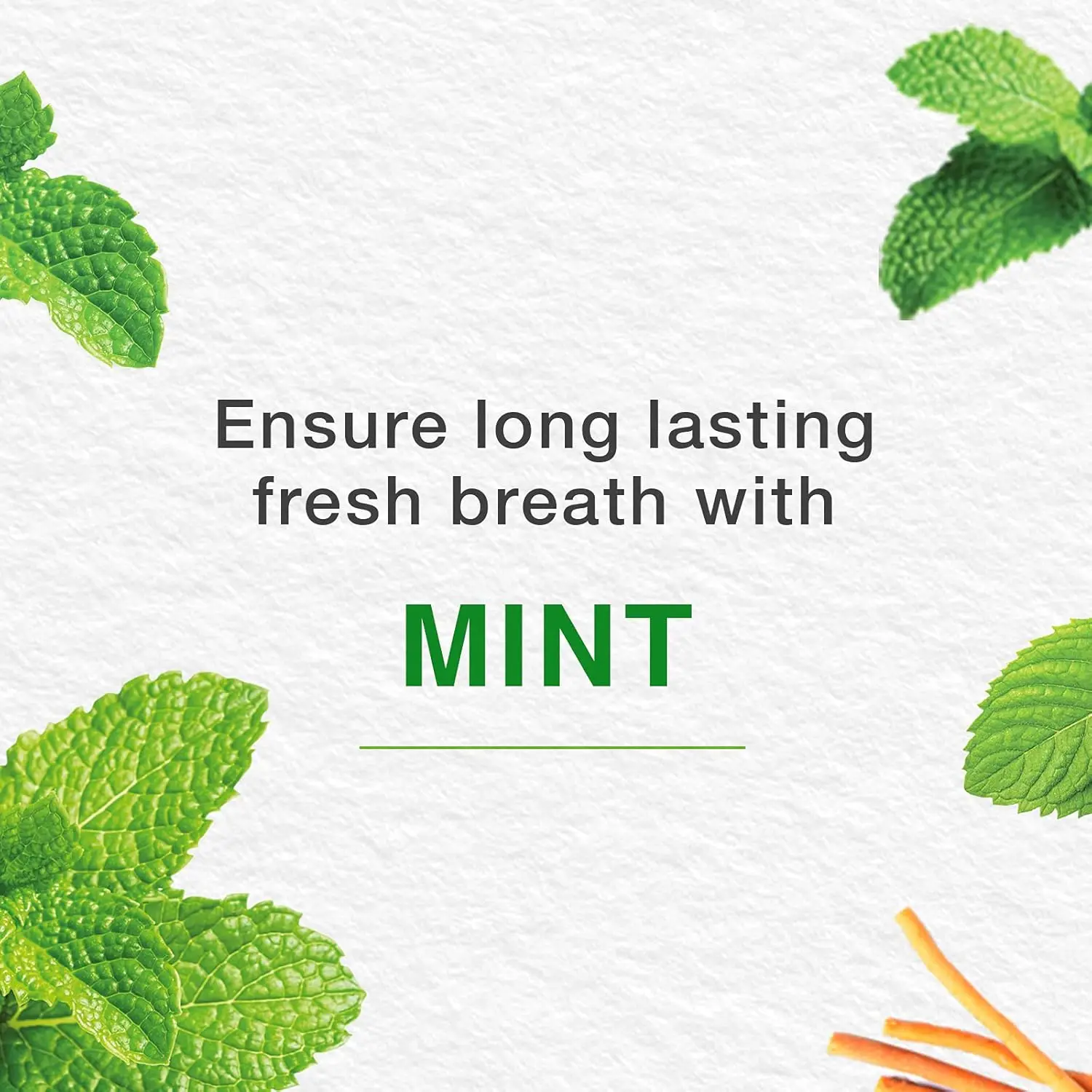 100ml Himalaya Since 1930 Mint Fresh Herbal Toothpaste Prevent Mouth Odor and Ensure Long-Lasting Fresh Breath Gum Protection