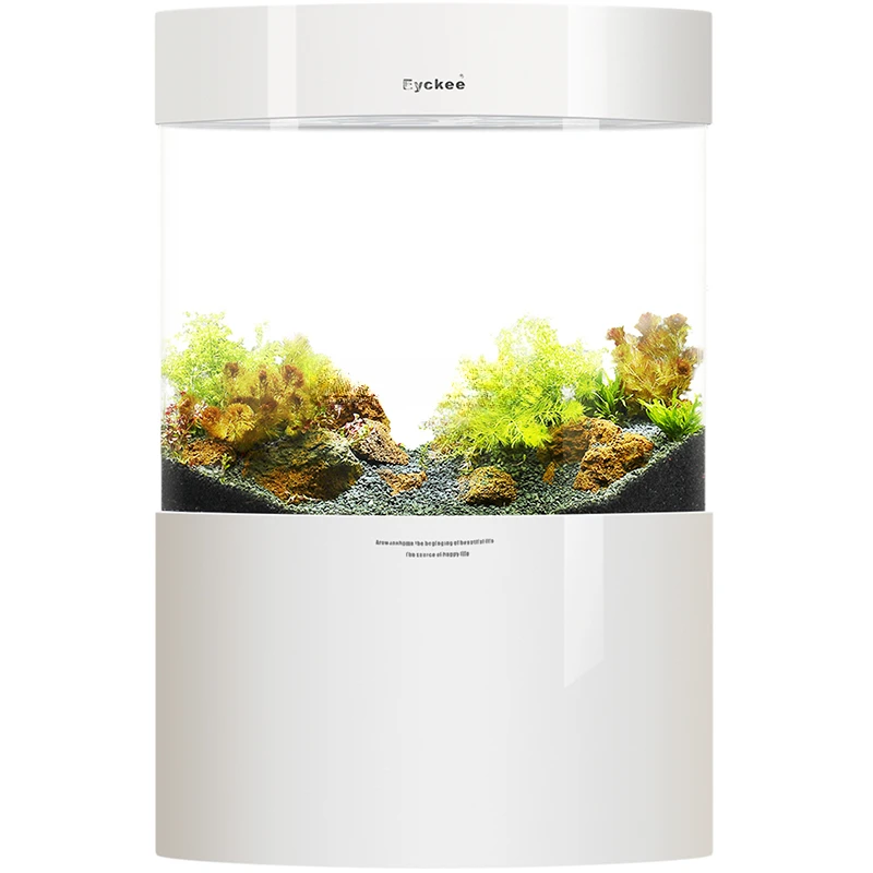 

Fish Tank Acrylic Ecological Aquarium Subareas Screens under Change Water Fish Tank