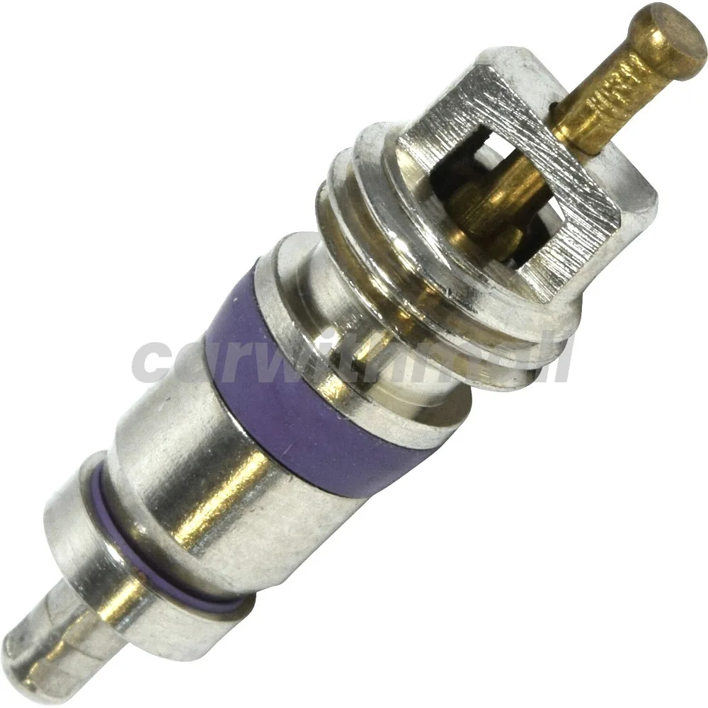 

10pcs Engine Valve Core 8E0820855 for BMW SKODA SEAT AUDI A4 A6 Q3 Q7 Q5 TT VW GOLF JETTA PASSAT POLO TIGUAN TOUAREG BENZ