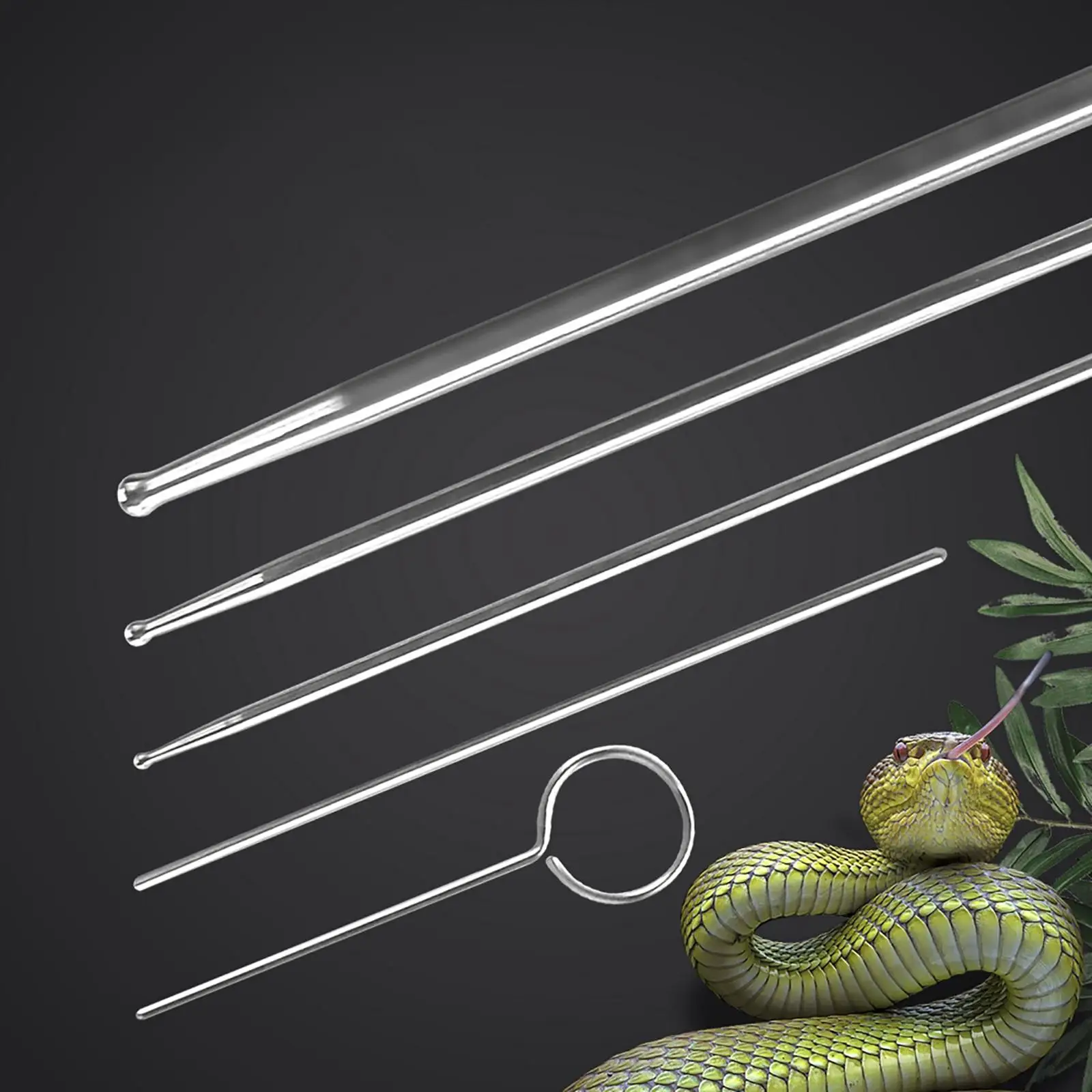 Reptiles Snake Gender Probes Set 6Pcs Reusable Different Size with Case Round Reptiles Snake Gender Probes Set 6Pcs Reusable Different Size with Case Round
