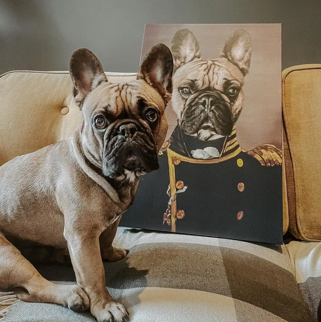 Custom Pets Portraits Painting Transform Your Pets Photos into Hand-Painted Canvas Art Dogs and Cats Admiral Personalized Gift