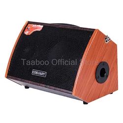 8 Inch 100W Acoustic Guitar Amplifier Speaker Sax Ukulele Piano Practice AMP Built-in Chorus Reverb Delay Effect Outdoor Speaker
