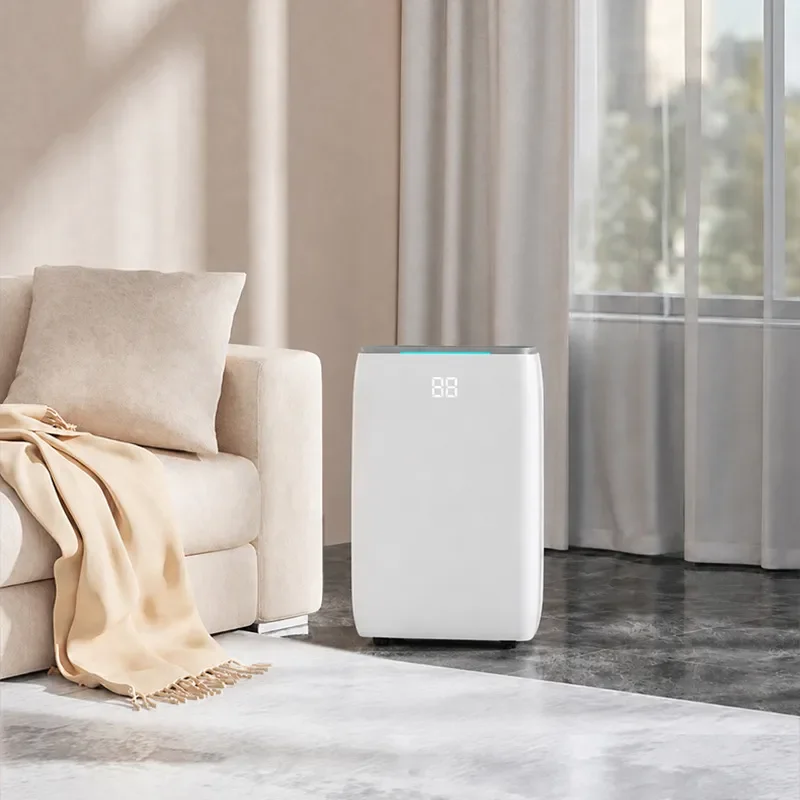 Cross-border custom dehumidifier small dehumidifier Classroom library Low noise and moisture-proof drying
