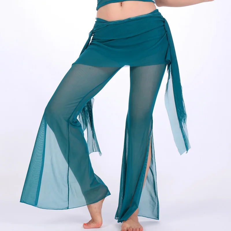 Customized Performance Costumes Belly Dance Costumes Pants Hip Scarves Waist Skirts Two-piece Set