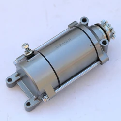 Motorcycle Starter Motor For YY350/250 DD350 DD250 2Stroke Cylinder Start Motor