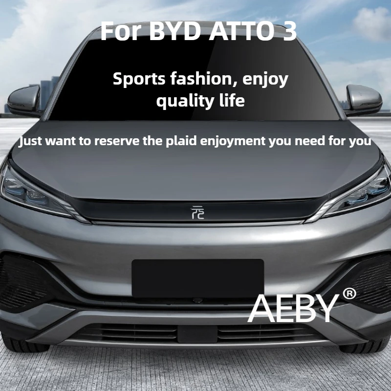 

AEBY For BYD ATTO 3 Smart Driving Edition 2022-2025 Front Bumper Lip Molding Kit,Car Front Grille Decorative Strip,Accessories