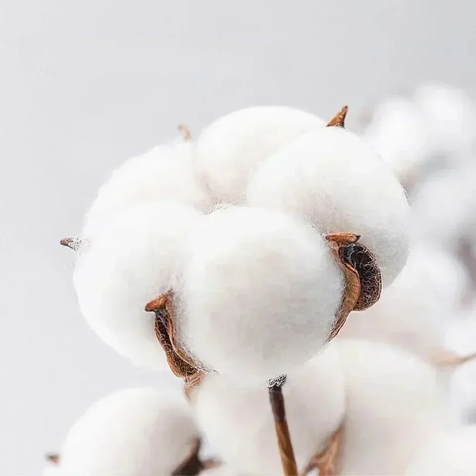 2025 صيف جديد القطن الثقيل قصيرة الأكمام تي شيرت الرجال والنساء الجولة الرقبة العصرية العلامة التجارية إلكتروني الطباعة تنوعا فضفاض Ins #6