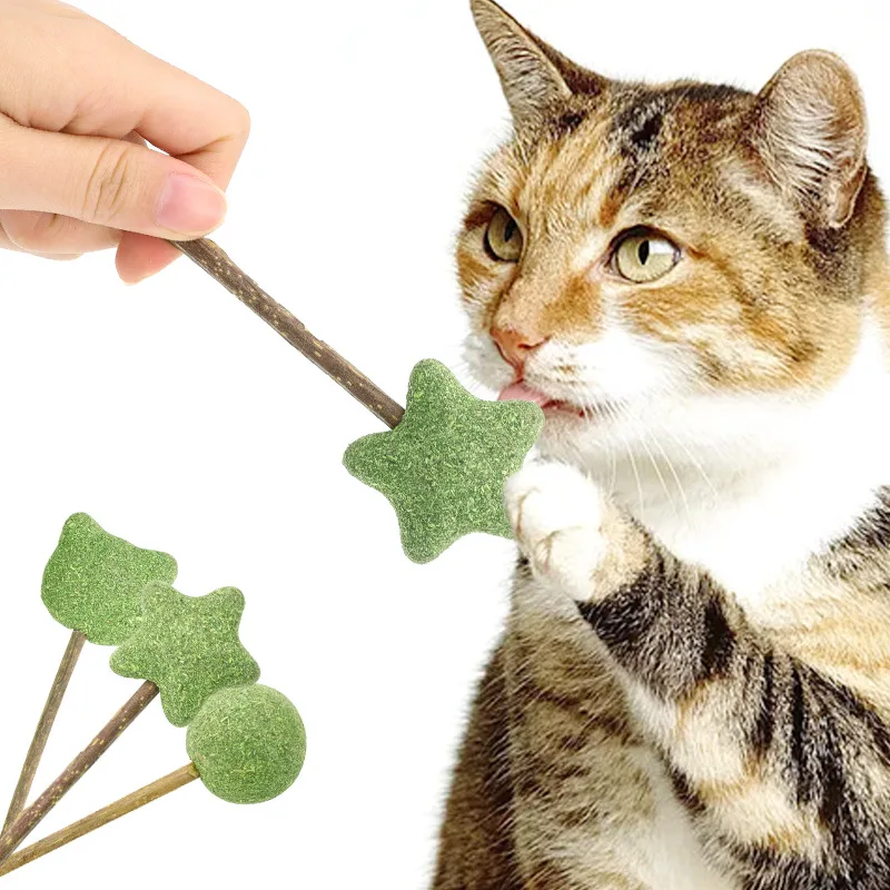 

Catnip Lollipop Teeth Cleaning Snack Cartoon Wood Polygonum Teasing Cat Stick