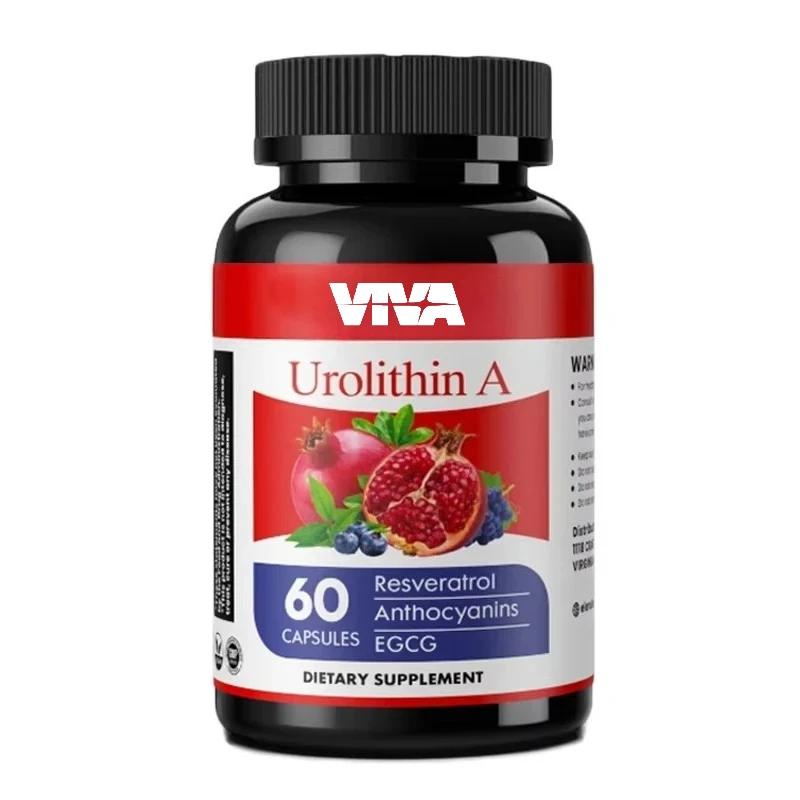 

Urine stone supplement 1000mg+trans resveratrol, anthocyanins, green tea, promotes healthy aging, cells and energy