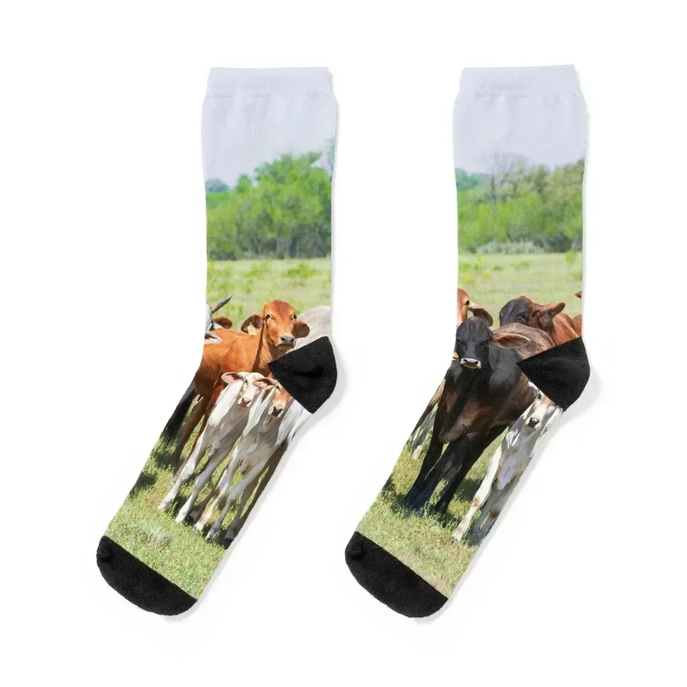 

We are family Socks designer anti slip football hip hop Rugby Ladies Socks Men's gift cute heated Male Socks Women's