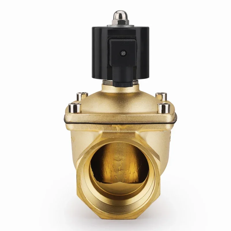 Brass Outdoor Waterproof and Anti Fog Solenoid Valve 2 1/ 2in AC110V ~ 220V / DC24V  12V