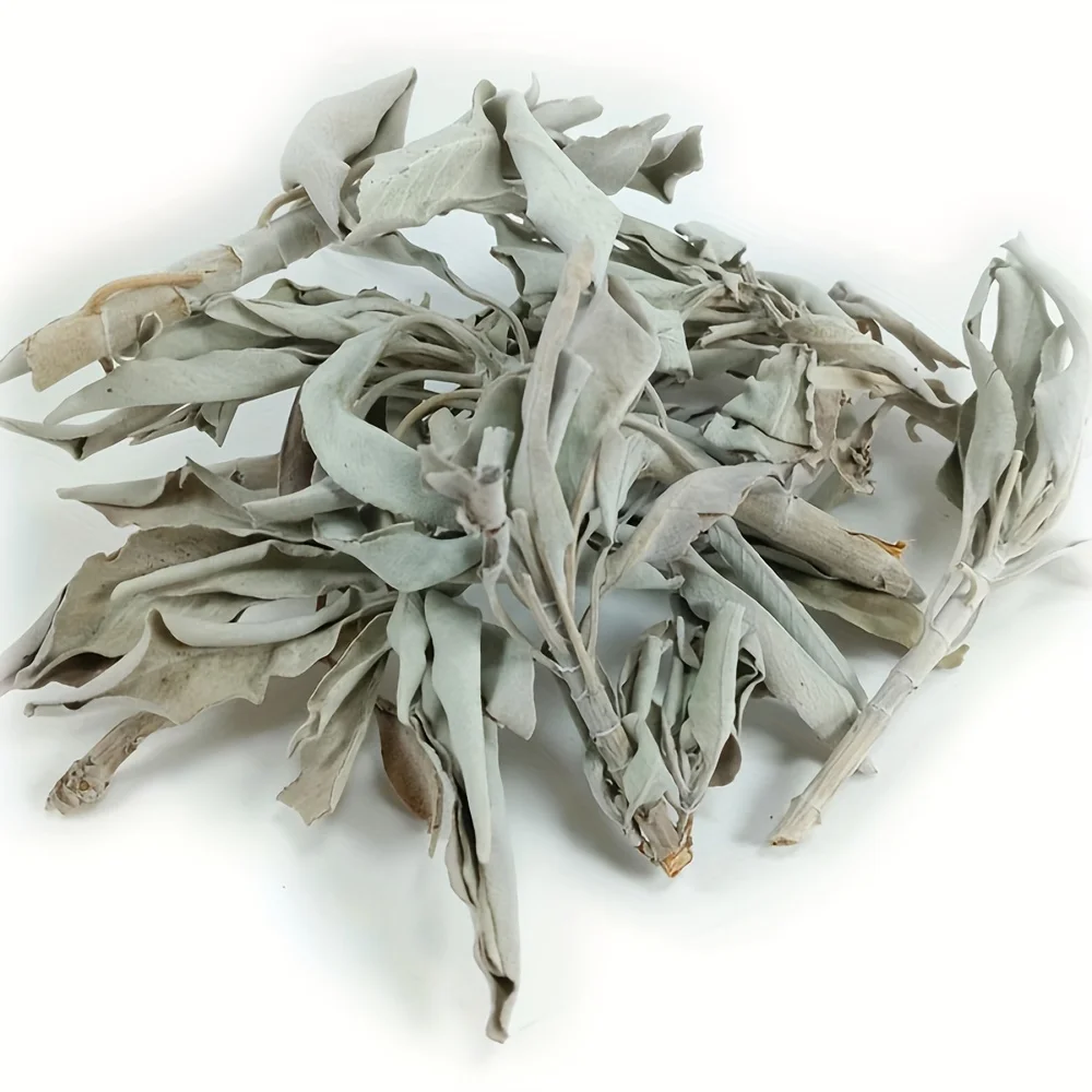 White Sage Leaves, Aromatherapy Cleansing, Burning Cleansing, Yoga Meditation And Smearing White Sage Leaves