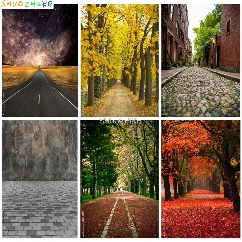 

Natural Scenery Photography Background Highway Landscape Travel Photo Backdrops Studio Props 2279 DLL-10