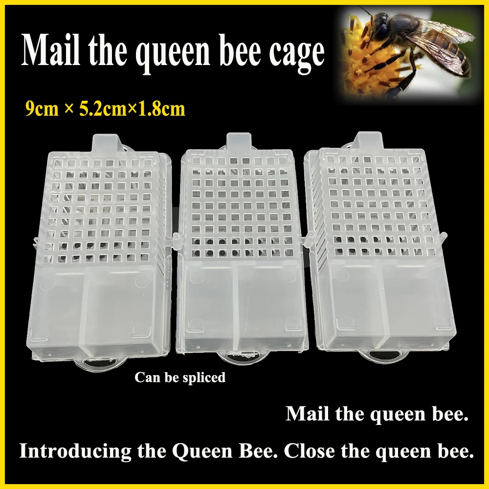 30PCS Beekeeping Queen Bee Prisoner Cage Plastic Transit Delivery Post New Virgin Quee Mail Box Large Space Farm Tool Supplies