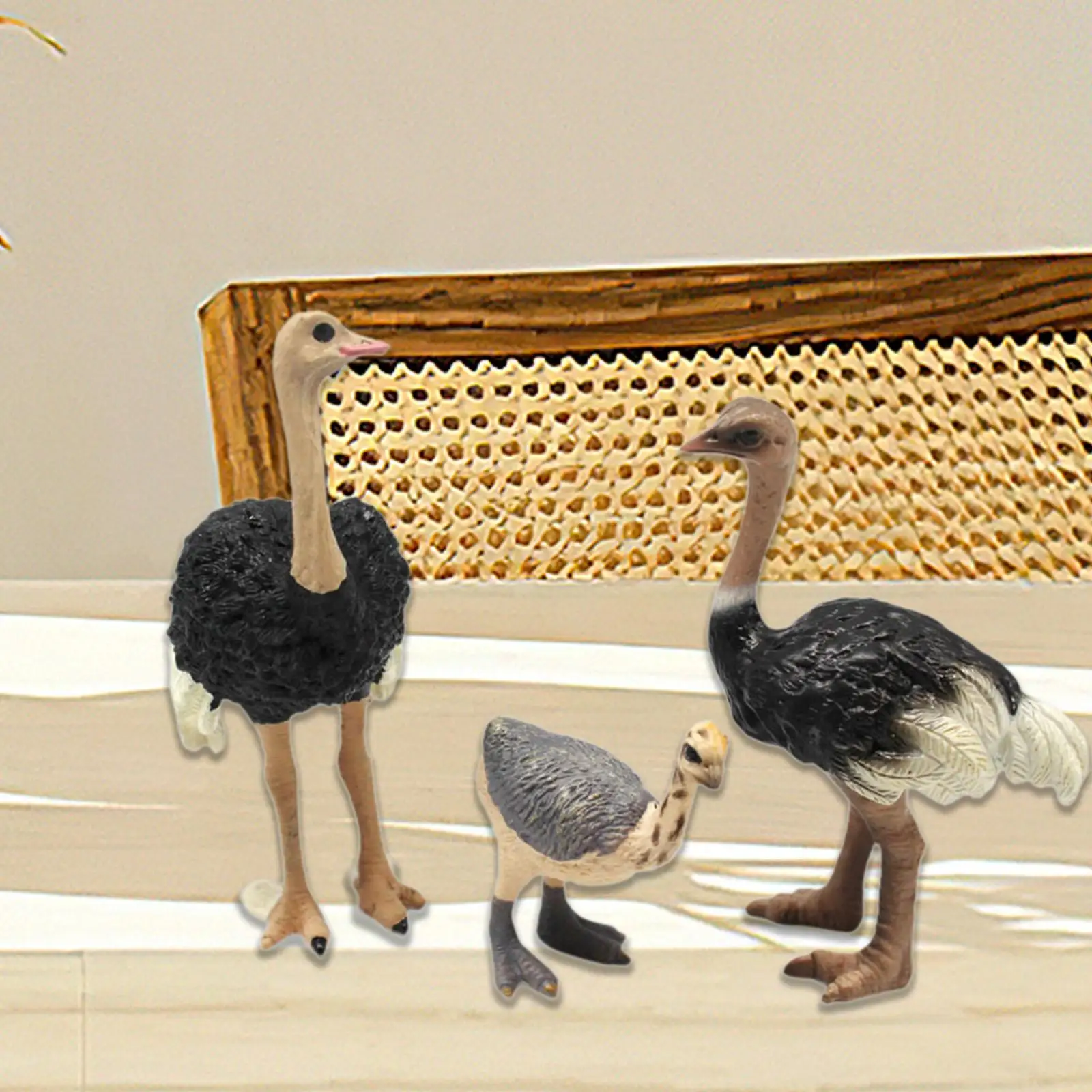 

3Pcs Animal Bird Model Figures Ostrich Model Ornament for Table Room Shelf