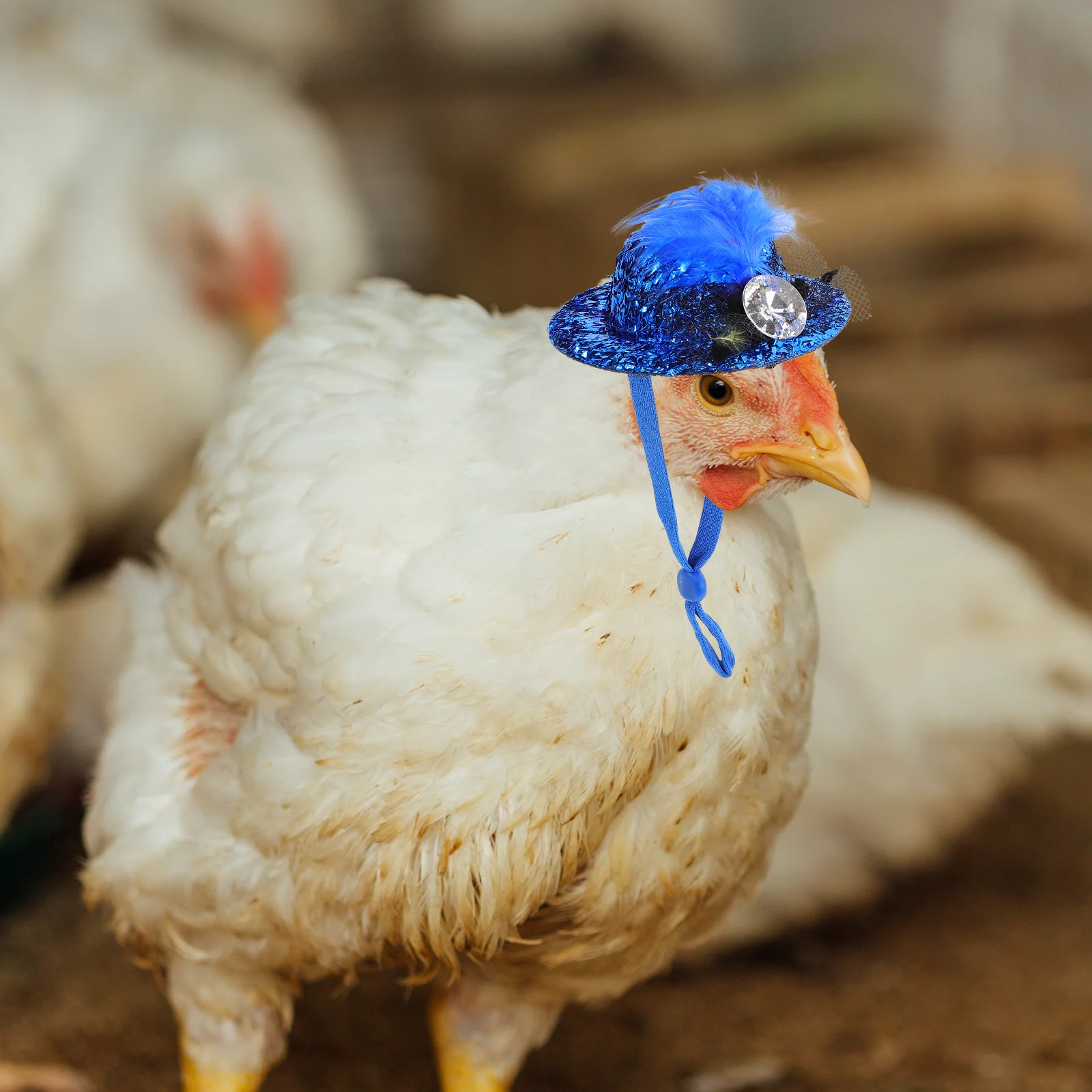 

6Pcs Decorative Bird Hats Adjustable Hen Comfortable for Pets Chicken Hat Chicken Accessory Hen Accessories