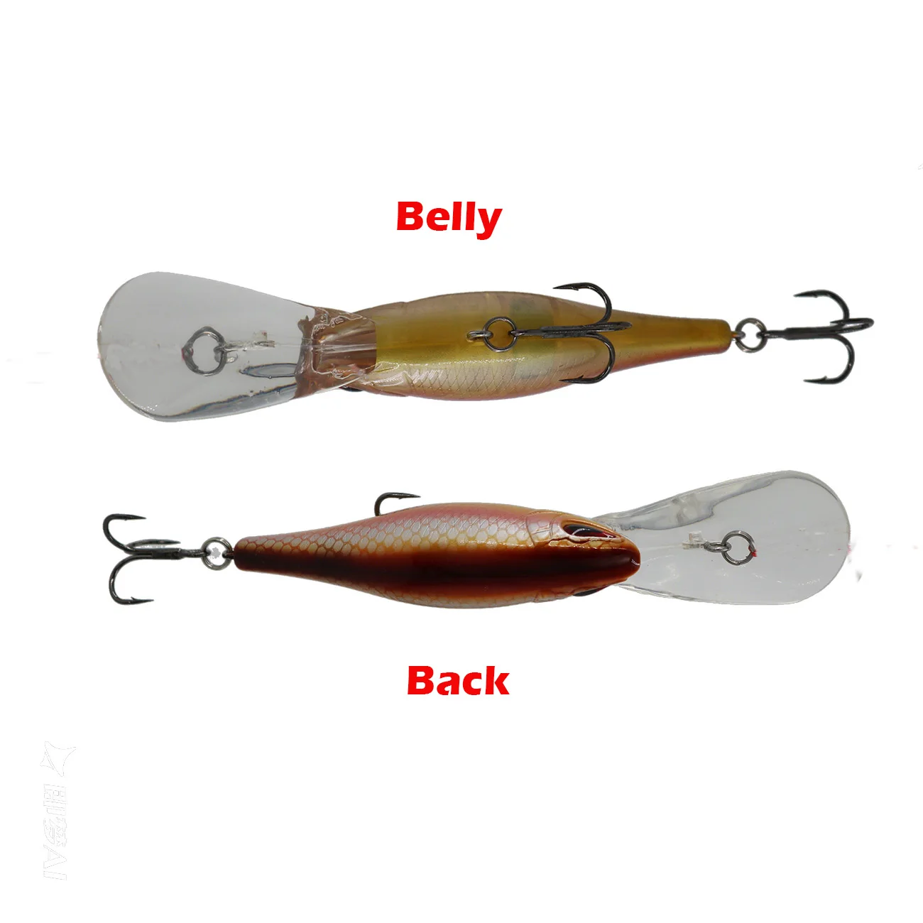 BassLegend Deep-X Señuelo Shad Flotante para Lubina y Lucio - imagen 2