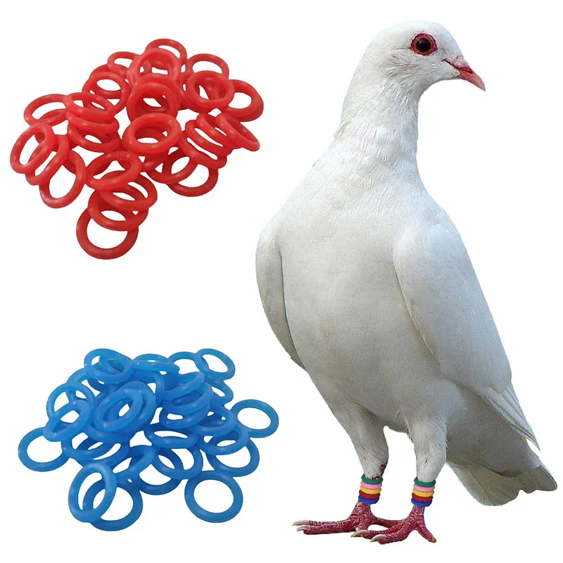 100 Uds anillo de goma para pie de Paloma anillos de identificación elásticos coloridos para portador palomas carreras palomas aparatos para pájaros 8mm
