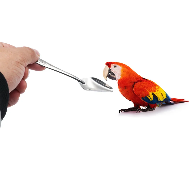 1pcs Bird Parrot Feeding Spoon Stainless Steel Water Milk Powder Feeder Spoons Bird Supplies Quail Feeding Spoon