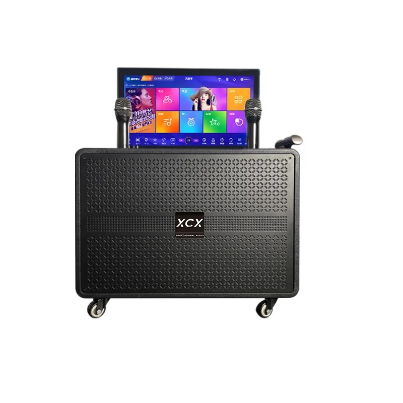 

High Sound Quality Outdoor Karaoke Microphone RGB Display Screen Wireless Heavy Subwoofer Stage Audio for Battery