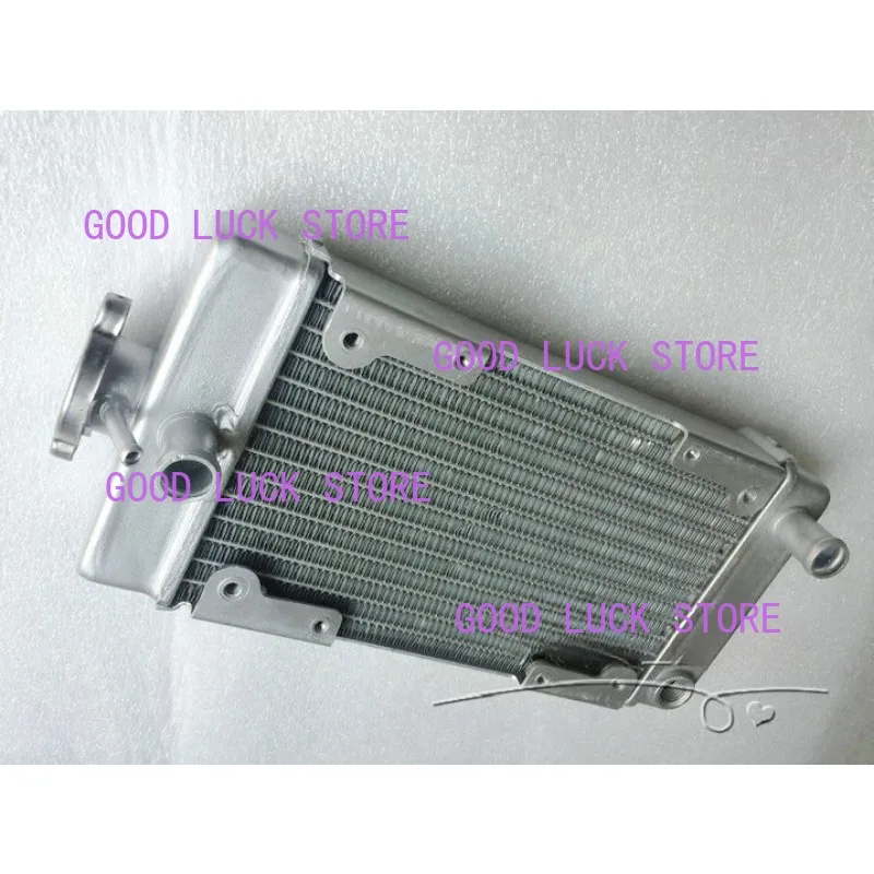 Motorcycle Engine Parts Water Cooler Radiator For Regal Raptor DD250E-9A DD250E-9B DD250G-2N DD350E-6C 250cc Engine