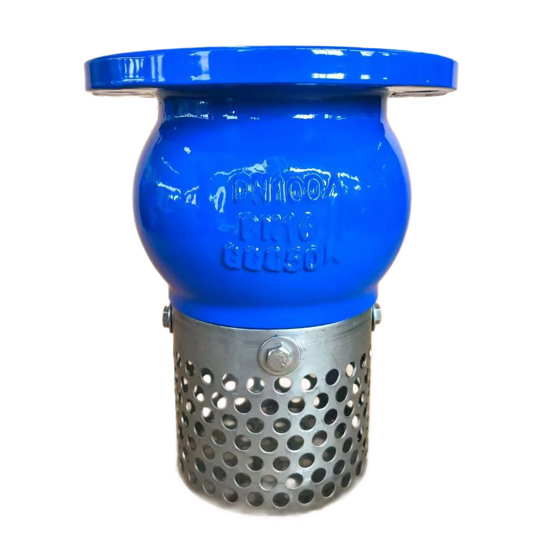 Non-Return Spring Web Filter Mesh Strainer Bottom Foot Valve 1 1/2 Inch OEM Accepted Stainless Steel Hydraulic Water Pump