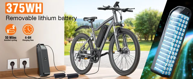 Electric Bicycles-T6