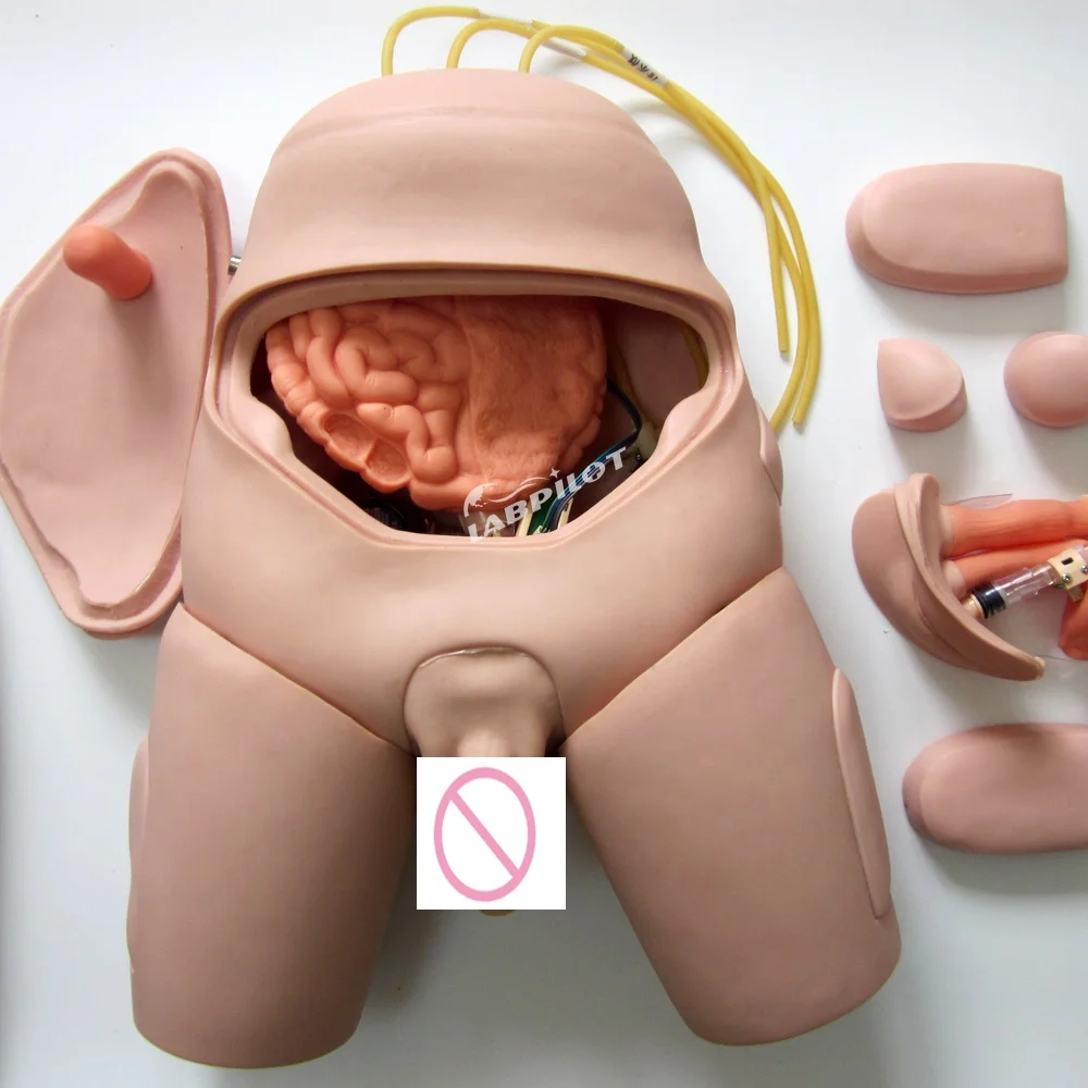 

unique Male and Female Catheterization Training Simulator with Monitor, Nursing Skills Practice Teaching Model Manikin