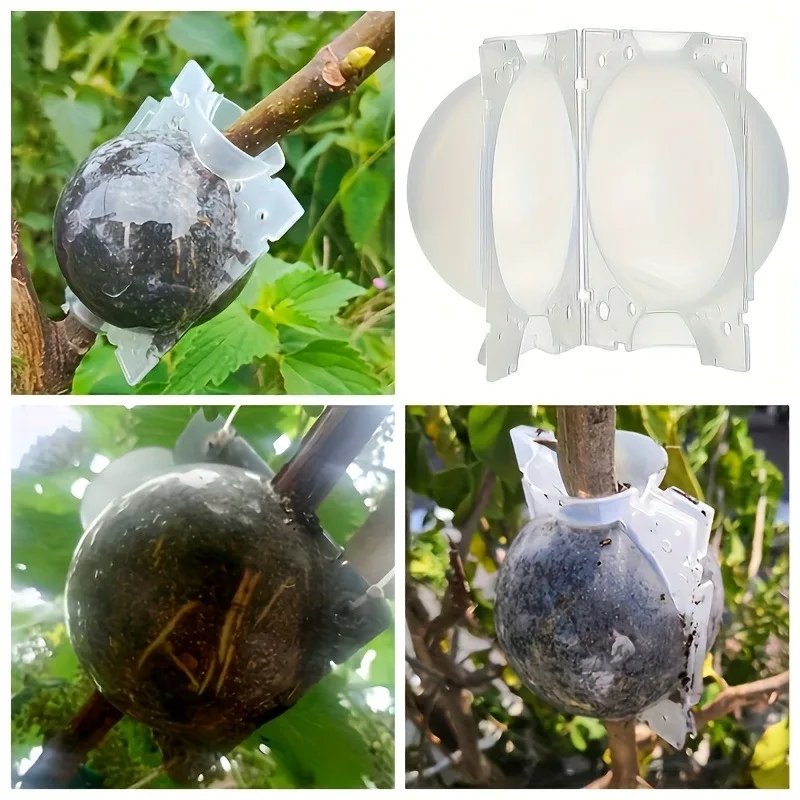 10Pcs High Pressure Plant Rooting Propagation Box Kit Branch Grafting Cutting Tool With Pressure Ball For Garden Use ﻿ - view 5