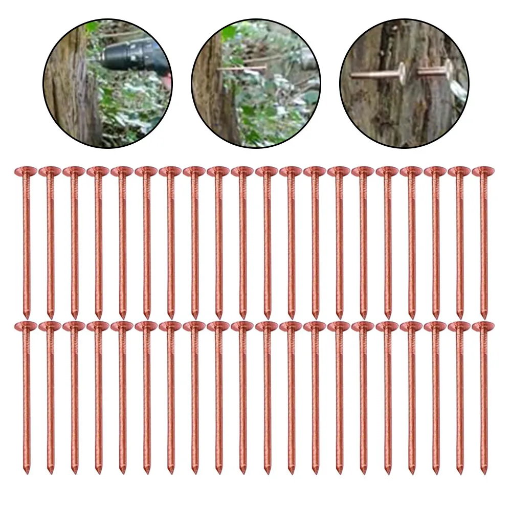 20/30/40/50pcs 65/75mm Copper Nails Tree Stump Killer Spikes For Root Elimination And Garden Tree Removal Hardware Tool