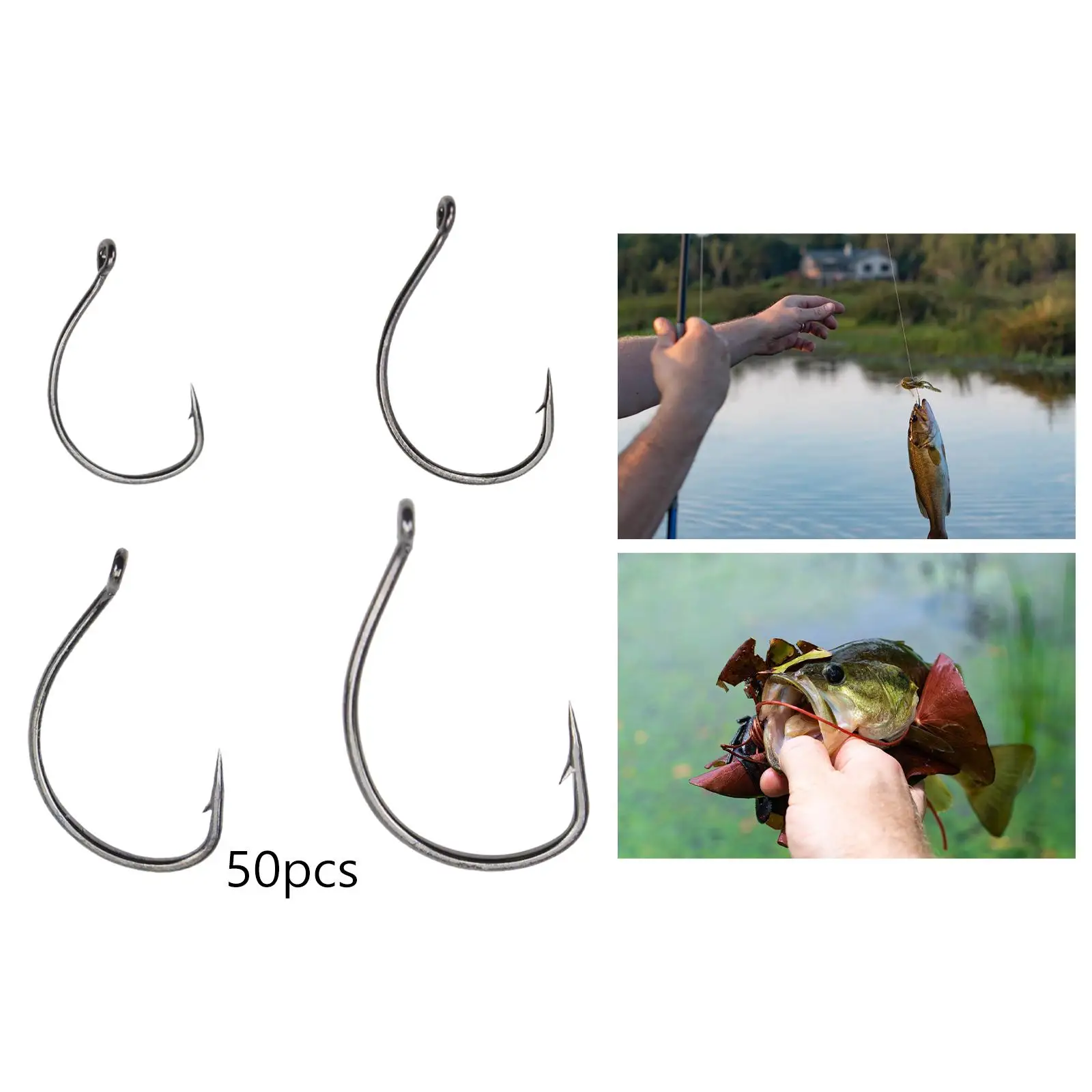 50x Fishing Hooks Set Circle Hooks Tools Gear Strong Outdoor Equipment Fishing Hooks Catfish Hooks for Fishing Catfish