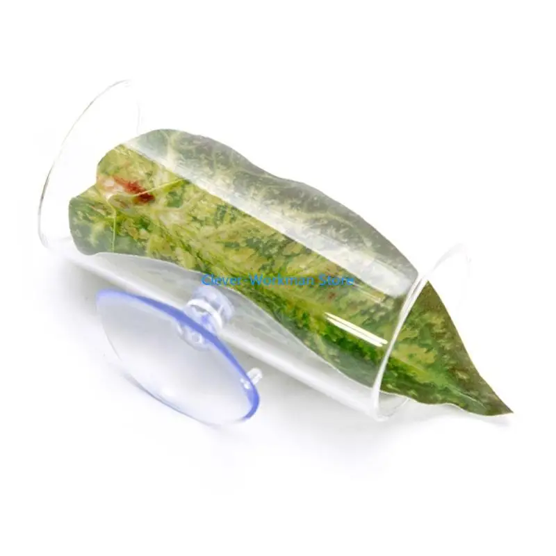 

24TD Bettas Breeding Natural Habitats Creation Professional Aquariums Accessory for Aquariums Enthusiasts