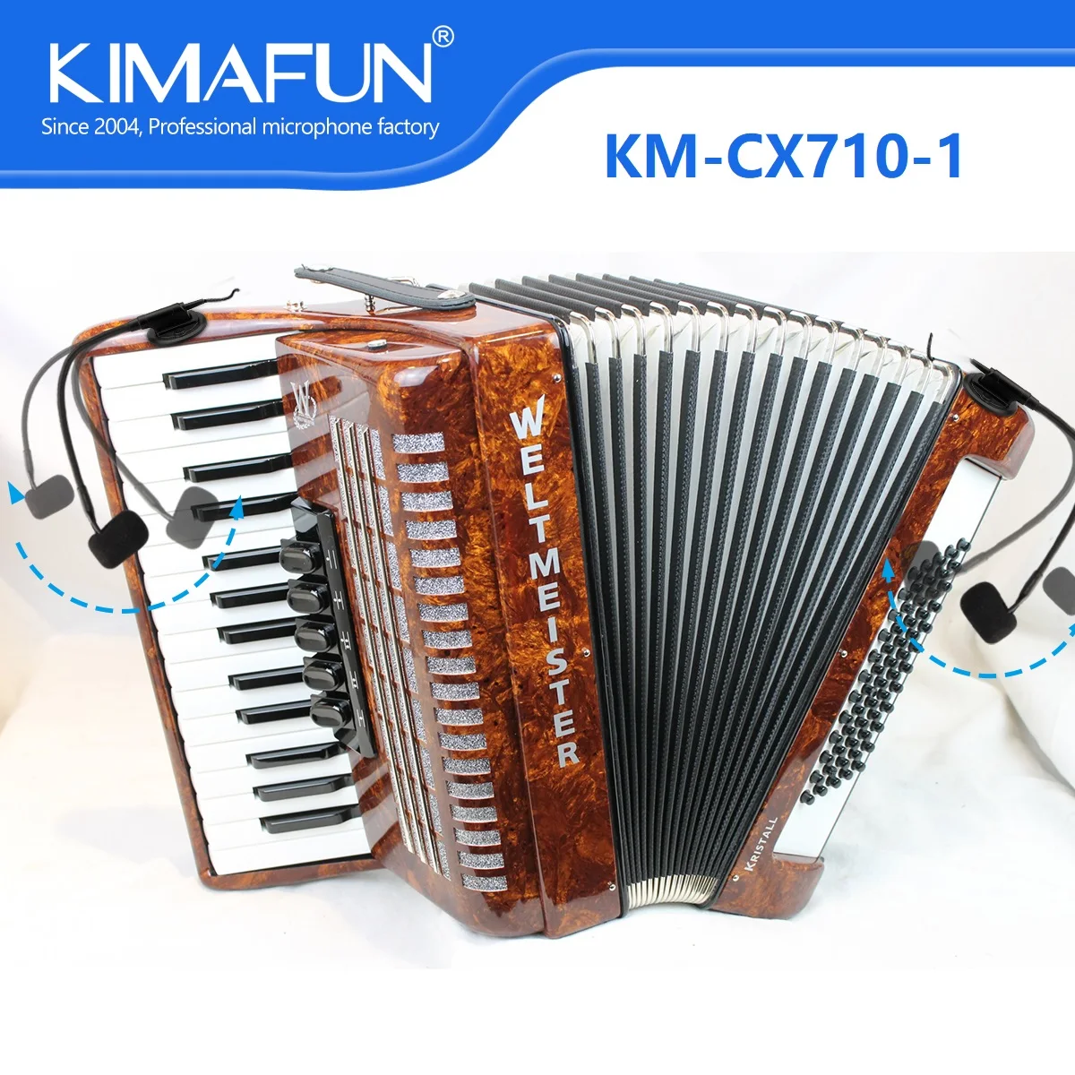 Professional Musical Instruments Accordion Wireless Microphone with 2 Condensers Flexible Gooseneck Mics for Musicians Teaching