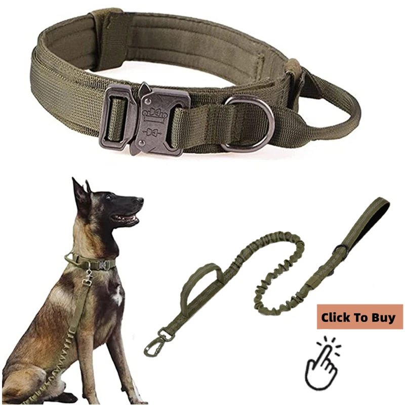 Verstellbares taktisches Hundehalsband aus Metall mit doppelter Schnalle, luxuriöses Designer-Trainingshalsband für mittelgroße und große Hunde – Detail 3