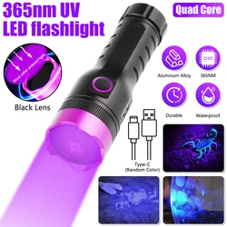 40W UV Flashlight Type-C Rechargeable Portable Waterproof UV Light Torch