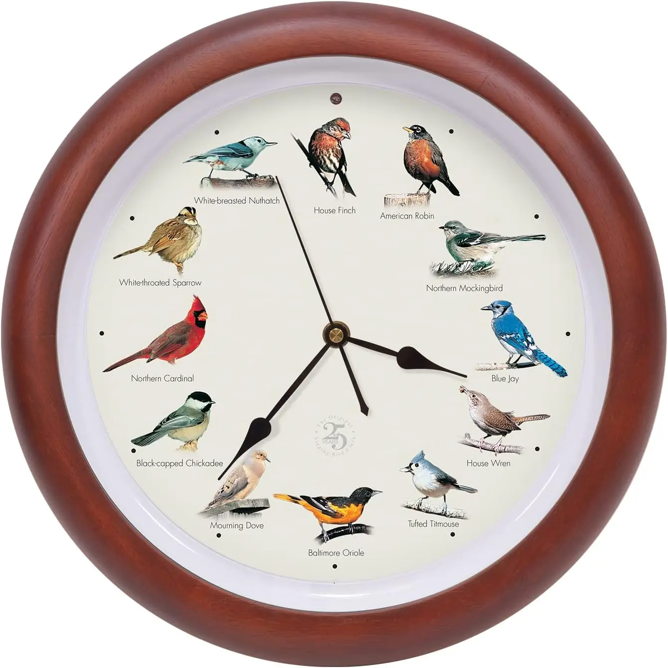 

25th Anniversary Singing Bird Clock, Premium Cherry Wood, 13 Inch with Light Sensor & Field Guide