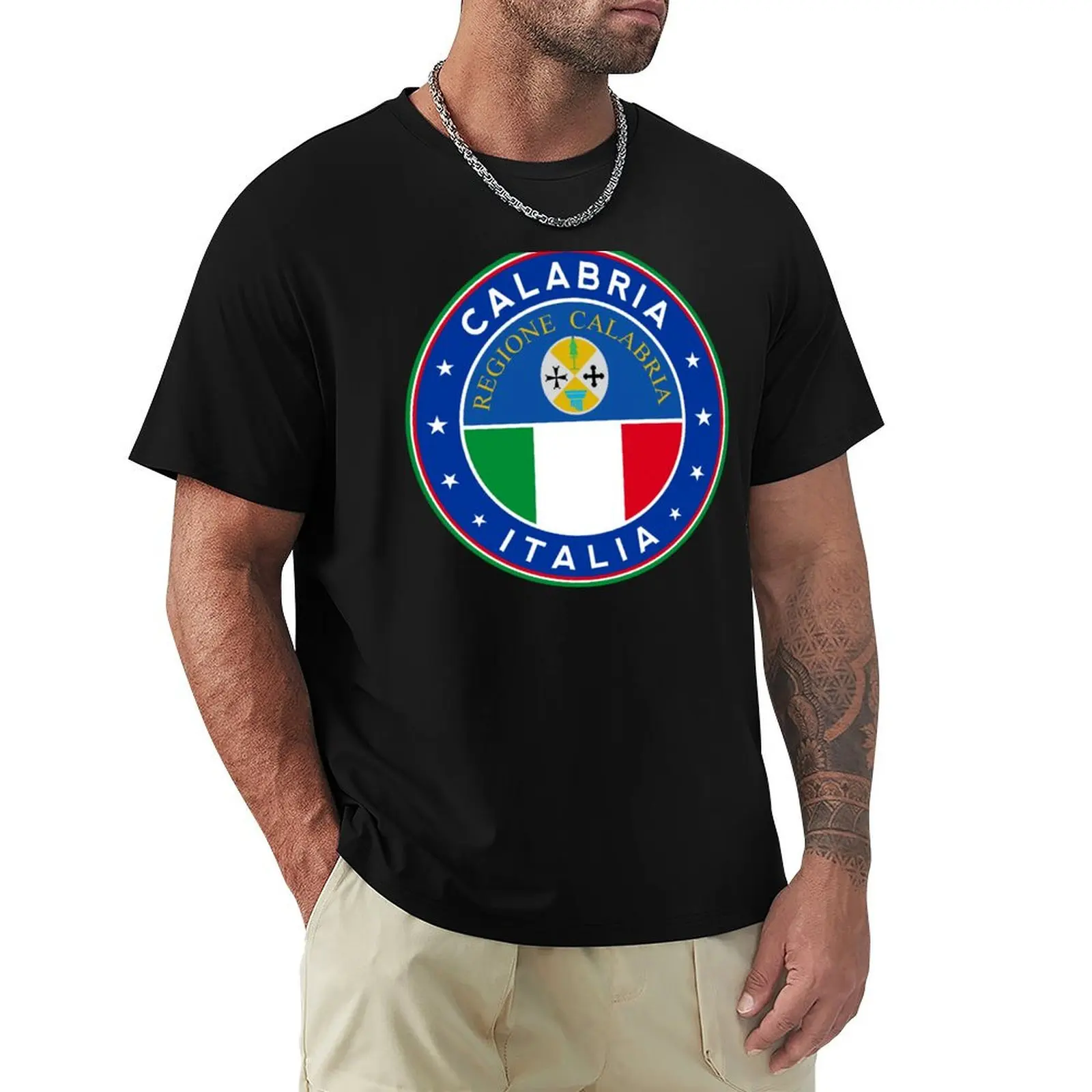 

Calabria Italia, Calabria design with flag of Italy colors T-Shirt quick-drying t shirts for men